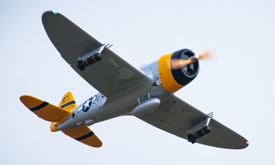 Composite store rc warbirds