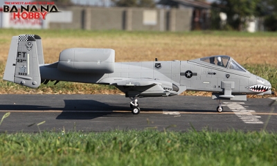 a10 warthog rc plane