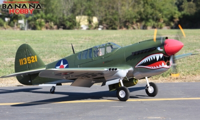 P 40 store warhawk rc plane